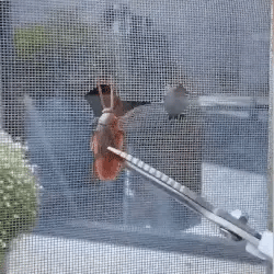 Self-Adhesive Window Screen Repair Tape | Fix Holes & Tears | Anti-Mosquito Mesh Patch